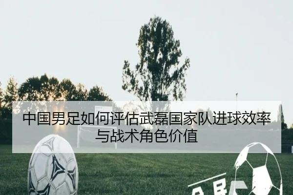 中国男足如何评估武磊国家队进球效率与战术角色价值